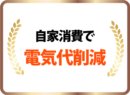 自家消費で電気代削減