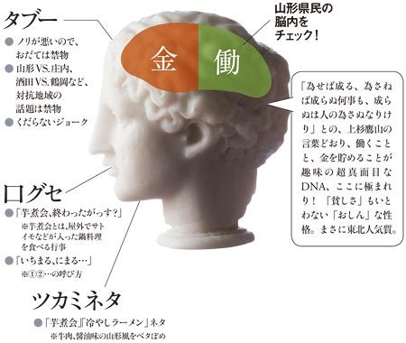 山形県民の脳内をチェック！