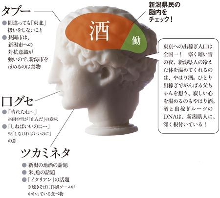 新潟県民の脳内をチェック！