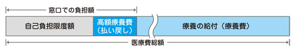 高額な医療費を支払ったとき