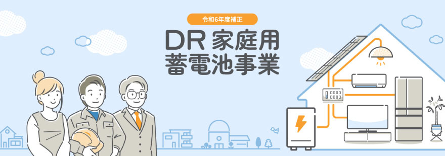 DR補助金とは?