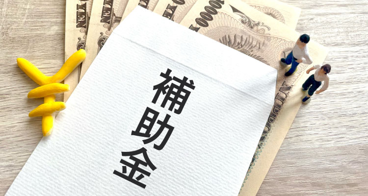 国の蓄電池補助金